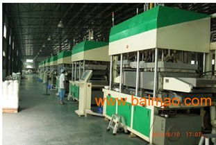 環保餐具設備與生產線 技術、生產與服務的全面解析